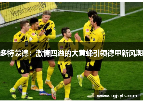 多特蒙德：激情四溢的大黄蜂引领德甲新风潮