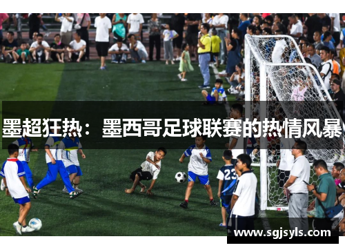 墨超狂热：墨西哥足球联赛的热情风暴