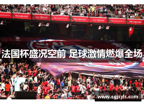 法国杯盛况空前 足球激情燃爆全场
