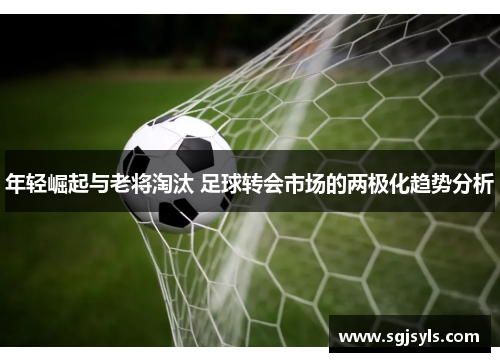 年轻崛起与老将淘汰 足球转会市场的两极化趋势分析 年轻崛起与老将淘汰 足球转会市场的两极化趋势分析
