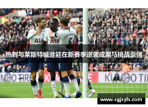 热刺与莱斯特城谁能在新赛季逆袭成黑马挑战豪强 热刺与莱斯特城谁能在新赛季逆袭成黑马挑战豪强